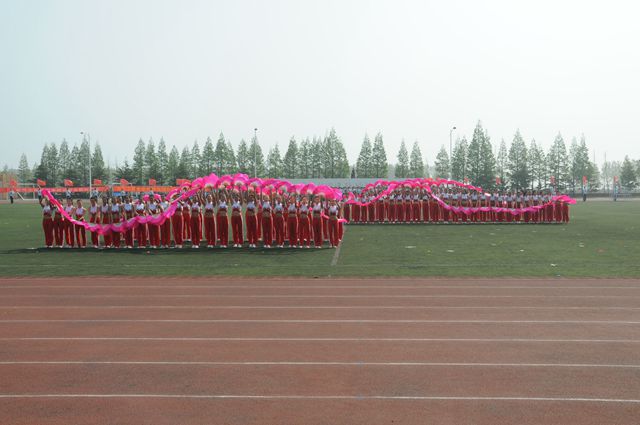 图6